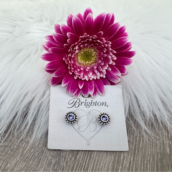 💜 BRIGHTON Twinkle June Birthstone - Alexandrite/ Tanzanite Mini Post Earrings - Picture 9 of 10